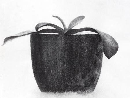 カズヒコカケガワ作品、木炭画