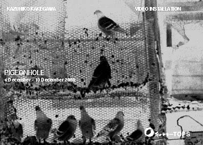 カズヒコ カケガワ 映像作品_pigeon hole DM写真面