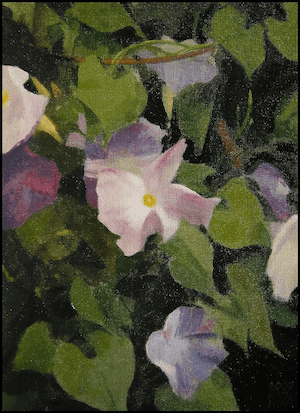 画像2001-2010_24